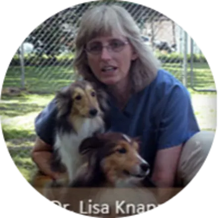 Dr. Lisa Knapp of VMDAH